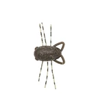Kép 2/5 - Reins Chibisecter - Black 2,3g 28mm műcsali