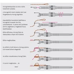 Kép 2/2 - K-Karp Perfect Hair Tyer horog-Hajszálelőke Kötő