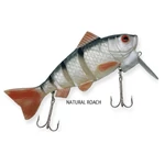 Kép 1/3 - Rapture Dancer Perch wobbler natural Roach 16cm 60g
