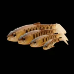 Kép 2/2 - Savage Craft Cannibal Paddletail 12,5cm 20g Perch