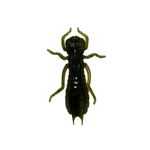 Kép 1/3 - Rapture ULG Dragonfly Nymph 42mm/1g Watermelone Bf 8 db lágygumi csali