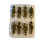 Kép 2/2 - Rapture ULG Cricket 33mm/1g Cola 8 db lágygumi csali