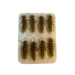 Kép 2/2 - Rapture ULG Cricket 33mm/1ggeen Pumpkin Bf 8 db lágygumi csali