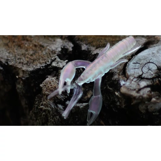 Rapture ULG Alive Craw 5cm/1.8g Pearl pink 12 db, lágygumi csali