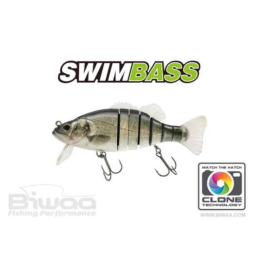 Biwaa Swimbass 6" Slow Sink 15cm 65g 51 Brazino wobbler