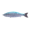 Babyface BB180-SF 180mm 80gr 40 Crystal Baby Blue wobbler
