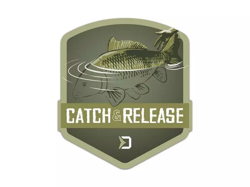 Delphin Catch and release 9x8cm öntapadó matrica