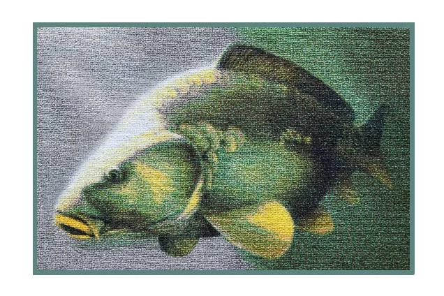 Delphin Szőnyeg 3D ponty 60x40cm 