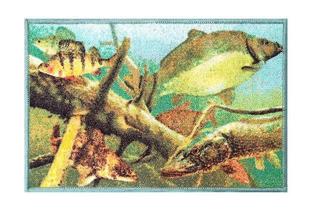 Delphin Szőnyeg aqua 60x40cm 