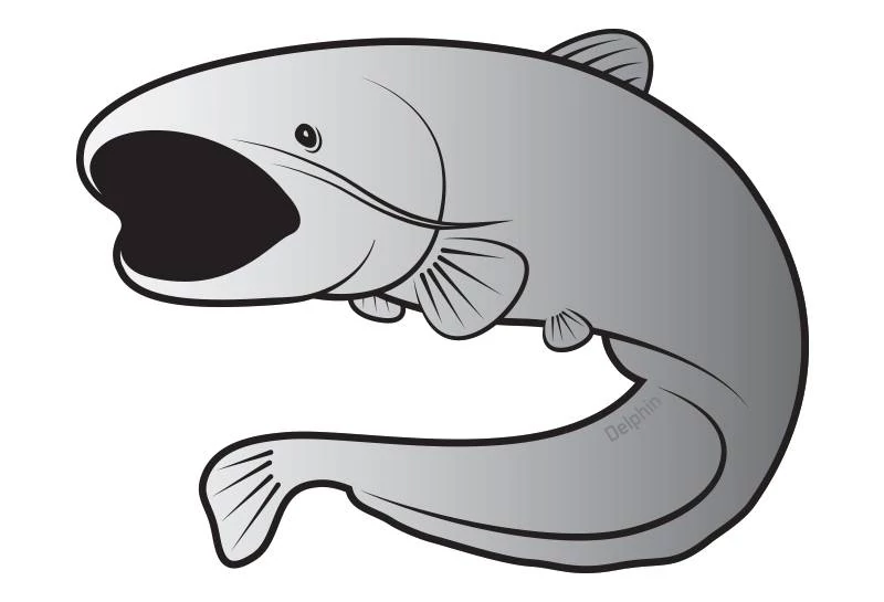 Delphin Harcsa silver 7*5cm öntapadó matrica