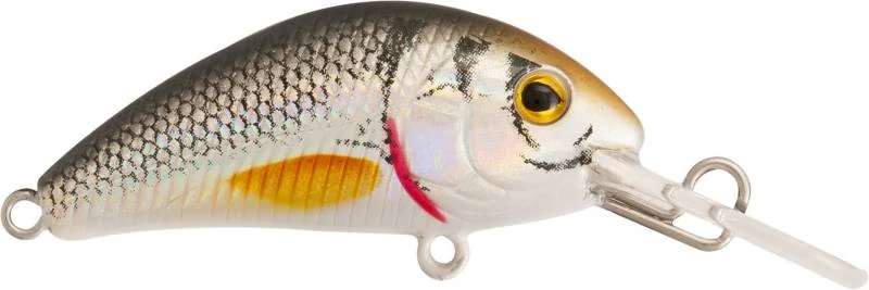 Rapture Pro Evoque F Ntr 40mm/3.5g wobbler