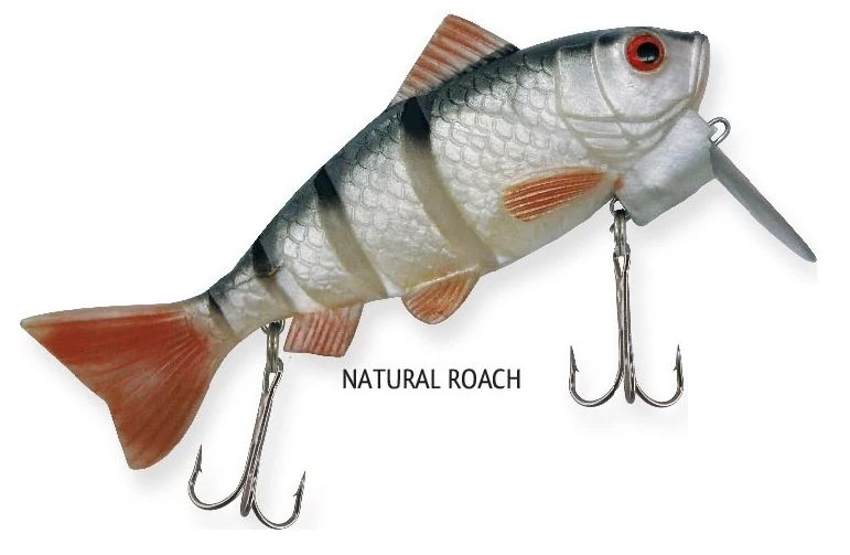 Rapture Dancer Perch wobbler natural Roach 16cm 60g