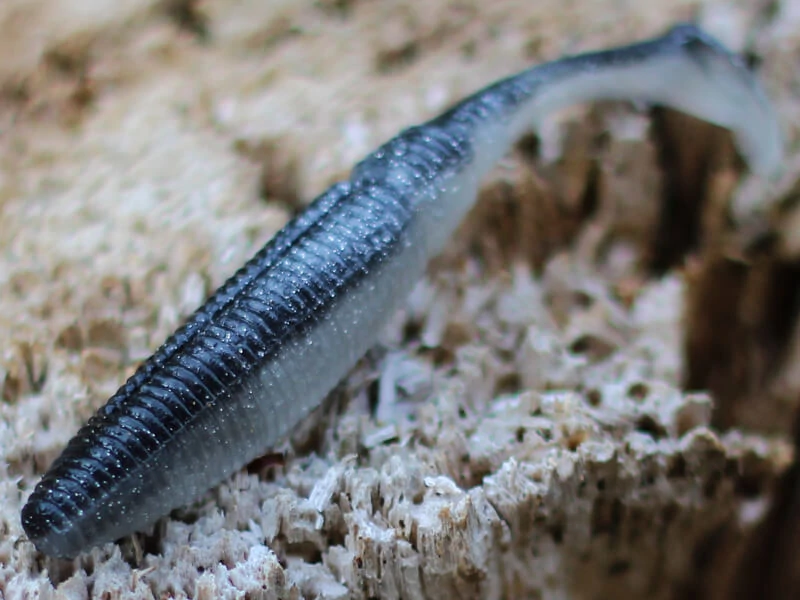 Rapture Power Shad Dual 17.5cm Black Silver 2 db, plasztik csali