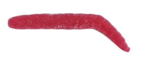 Trabucco Yummy Bait Brucona bubble gum 8db plasztik csali