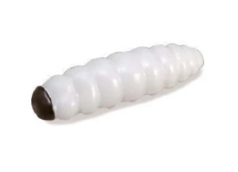 Trabucco Yummy Bait Camola white 8db plasztik csali