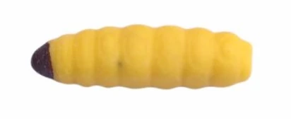 Trabucco Yummy Bait Camola cream 8db plasztik csali