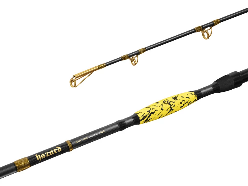 Delphin HAZARD BxG 310cm 505g harcsázó horgászbot