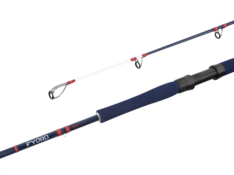 Delphin Fyord BigBoat 220/2 300-400g horgászbot