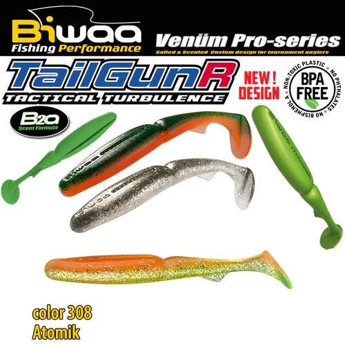 Biwaa TailgunR 4,5
