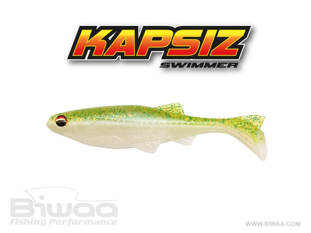 Biwaa Kapsiz 5