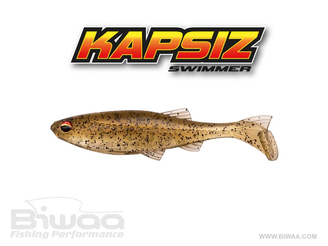 Biwaa Kapsiz 5