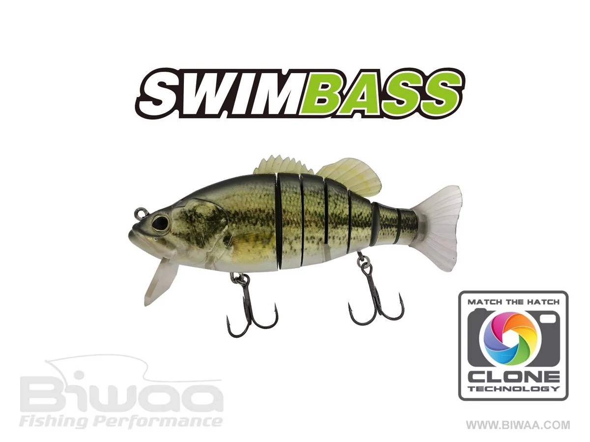 Biwaa Swimbass 6
