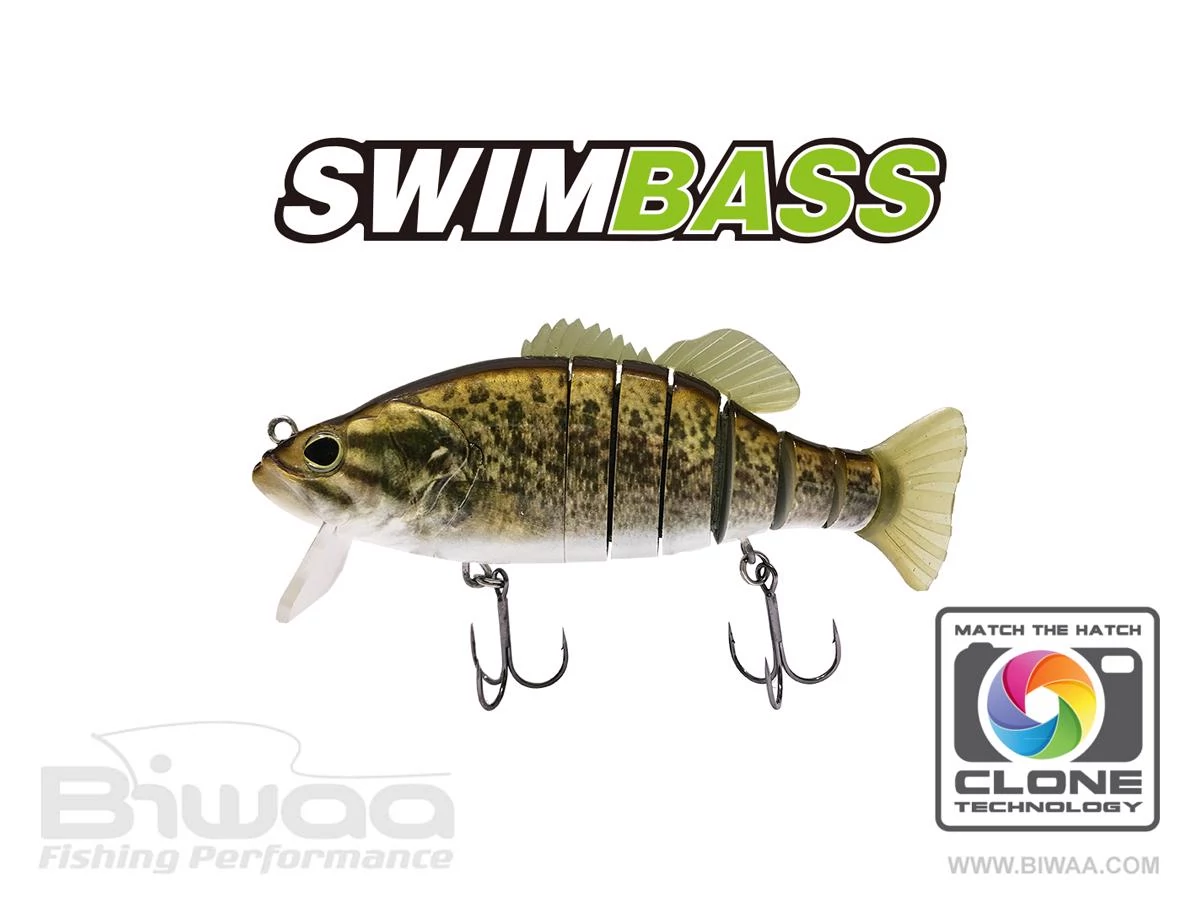 Biwaa Swimbass 6