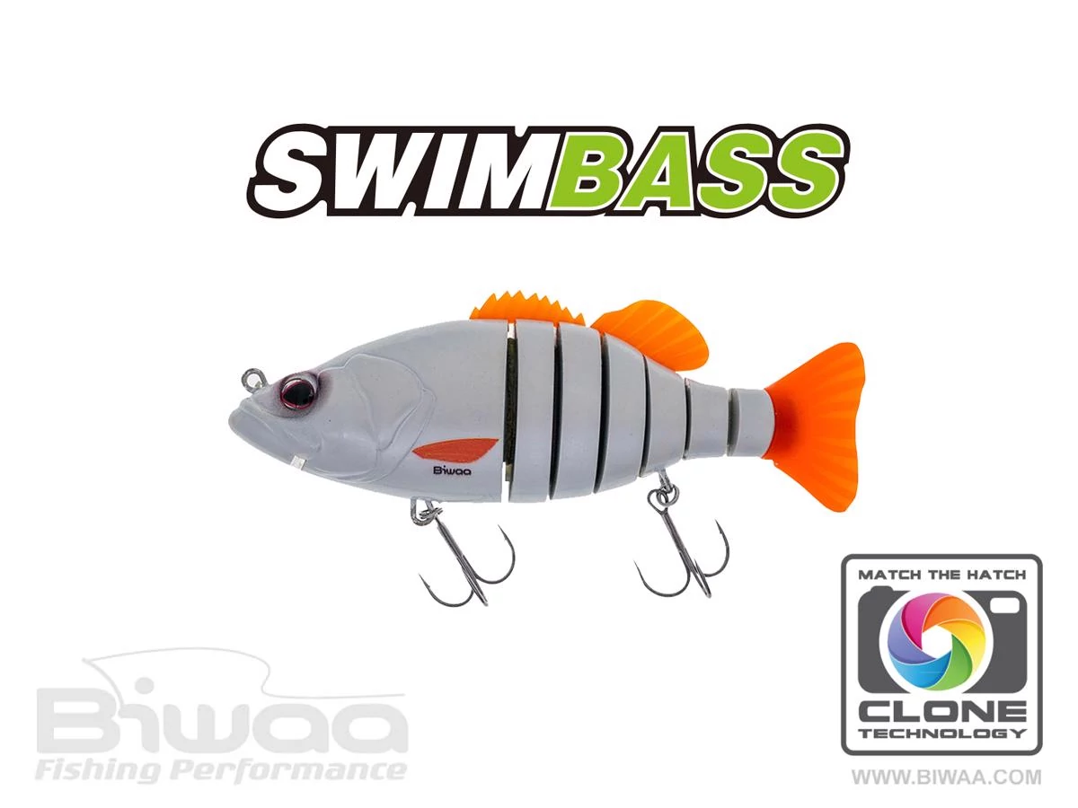 Biwaa Swimbass 6