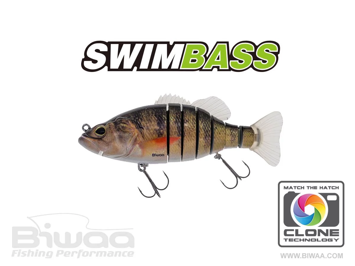 Biwaa Swimbass 6