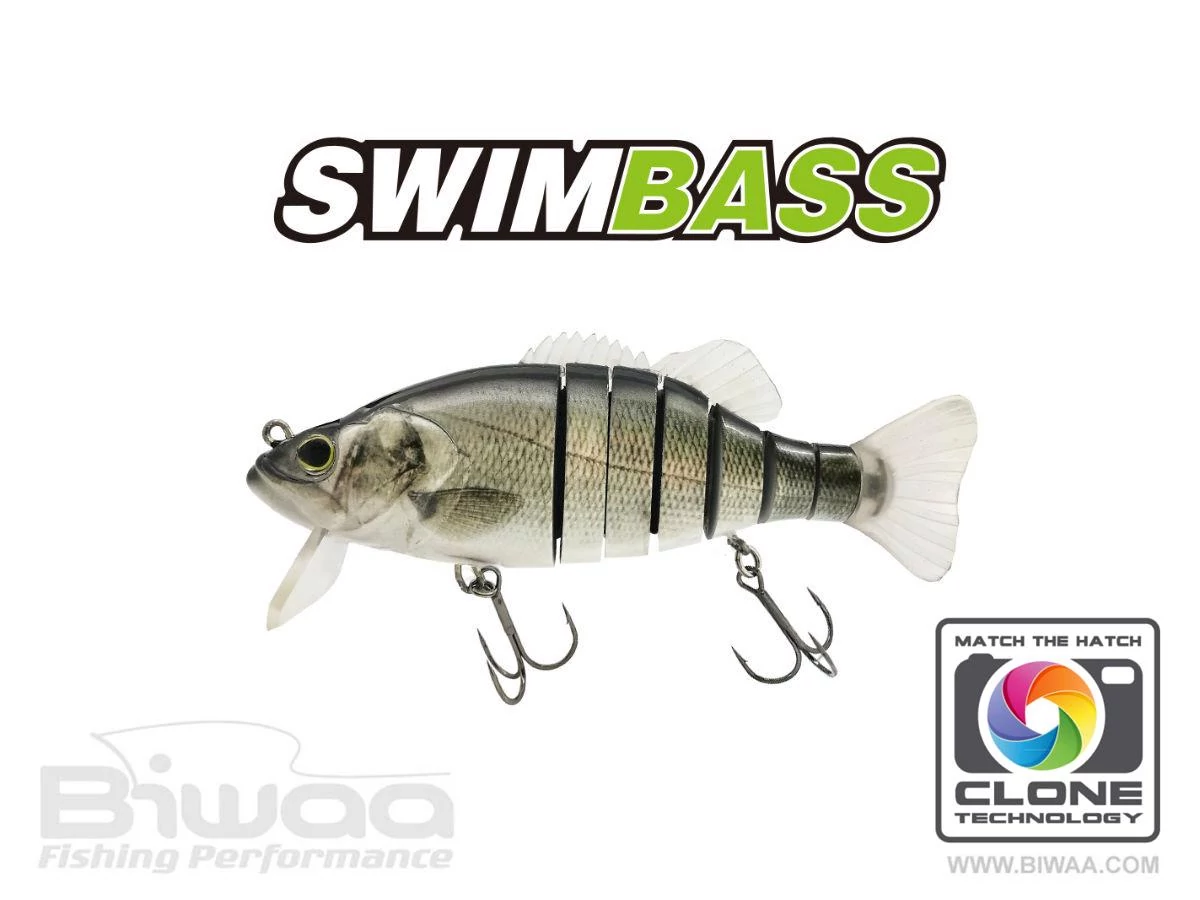 Biwaa Swimbass 6