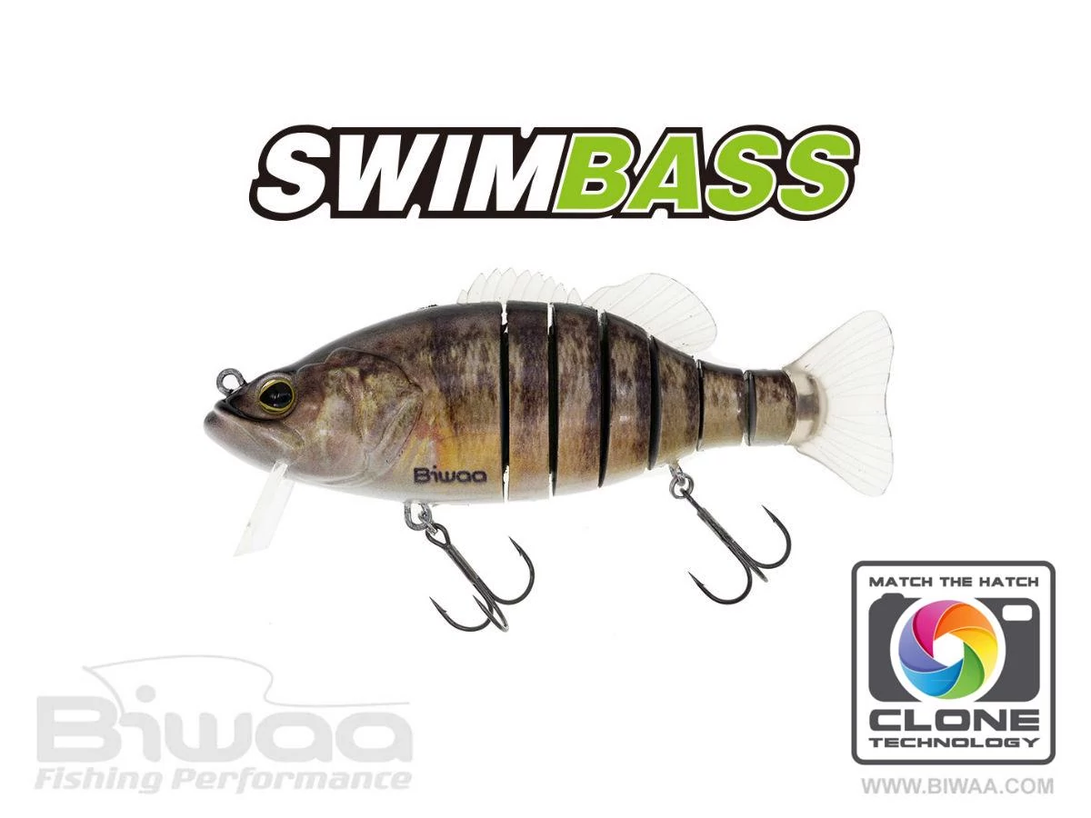 Biwaa Swimbass 6