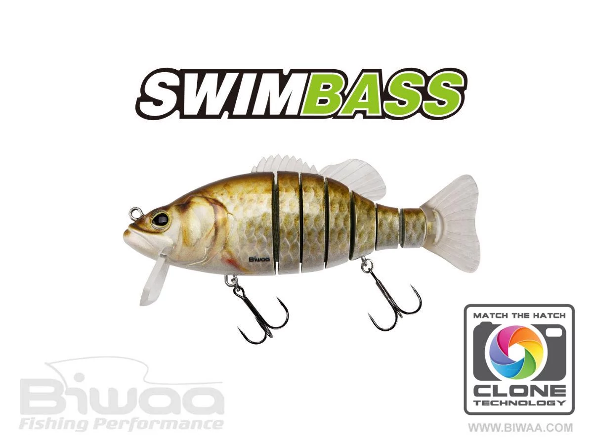 Biwaa Swimbass 6