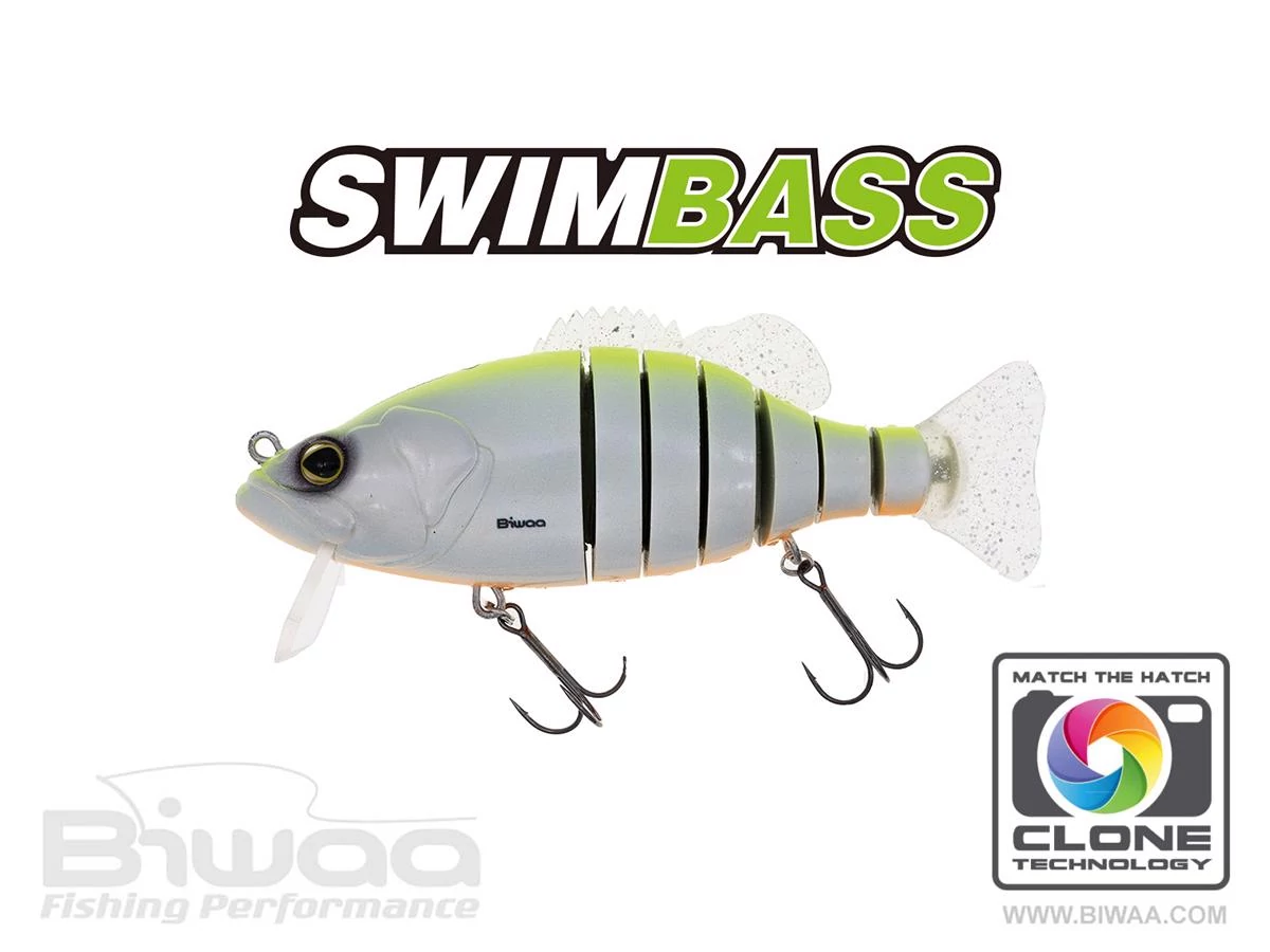 Biwaa Swimbass 6