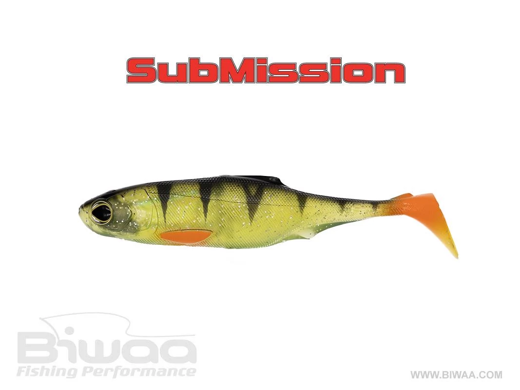 Biwaa Submission 4