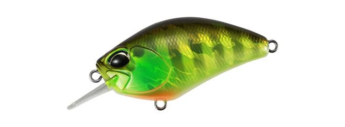 Duo Realis Crank 55SR Kabuki 5.5cm 10gr AJA3055 Chart Gill Halo wobbler