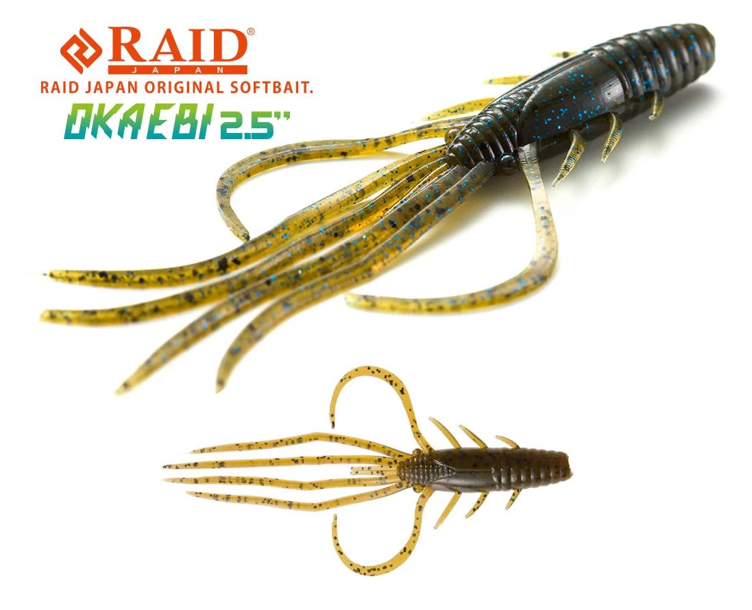 Raid Japan Oka Ebi 2,5