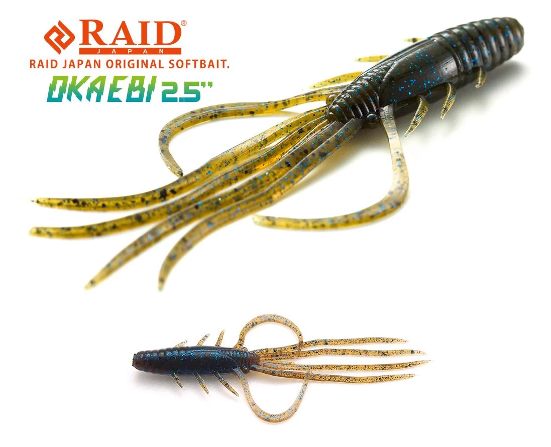 Raid Japan Oka Ebi 2,5
