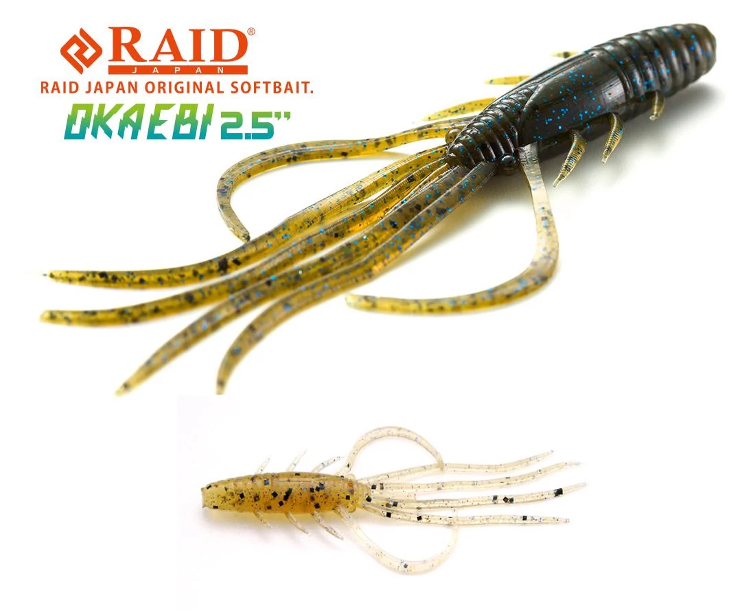 Raid Japan Oka Ebi 2,5