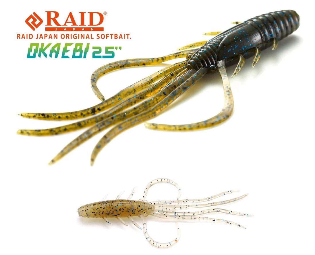 Raid Japan Oka Ebi 2,5